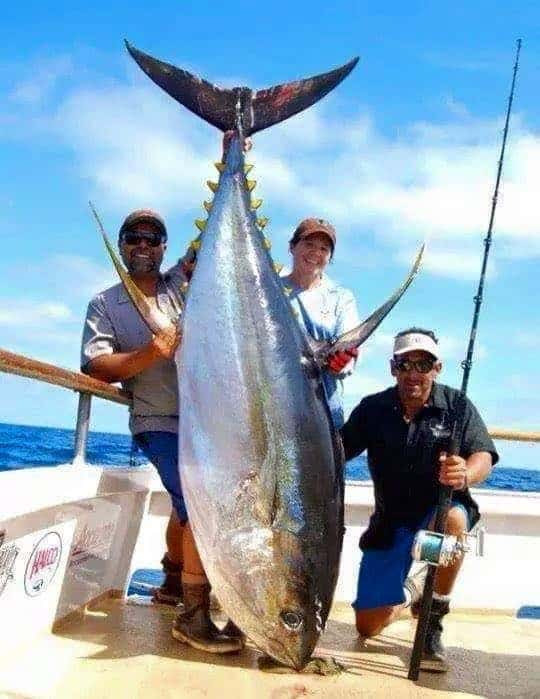 Blue Marlin with Action Charter Service