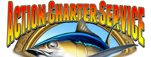 Best Charters on the Emerald Gulf Coast via the Emerald Spirit